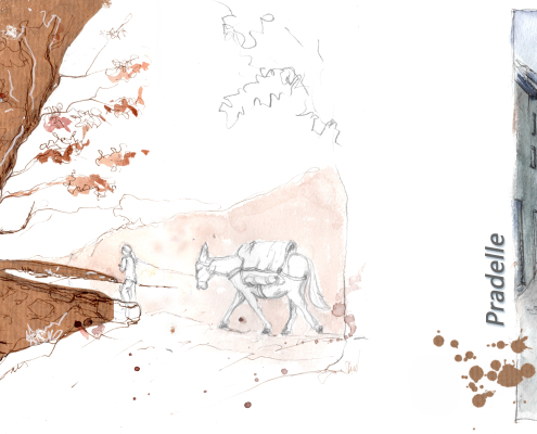 pages 14 et 15